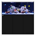 WATERBOX REEF PRO 180.5 BLACK